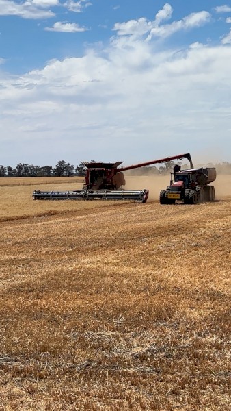 Harvesting wanted in QLD and NSW