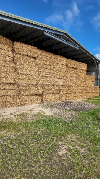Oaten Hay
