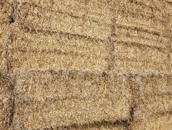 Oaten Hay