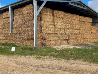 Oaten Hay