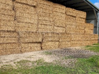 Oaten Hay