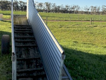 Strong mobile sheep loading ramp.