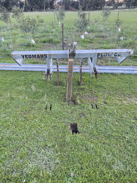 Yoemans 