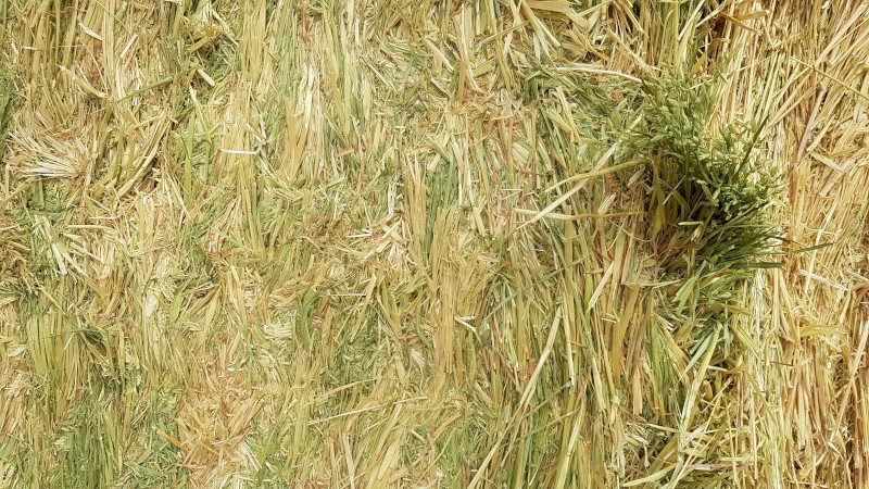75mt Oaten Rye Hay 8x4x3 Bales