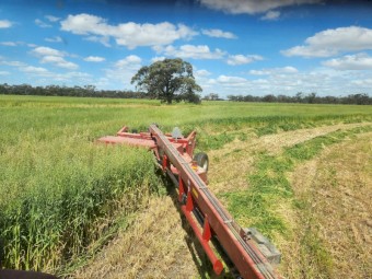 75mt Oaten Rye Hay 8x4x3 Bales
