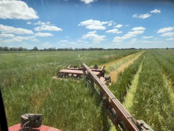 75mt Oaten Rye Hay 8x4x3 Bales