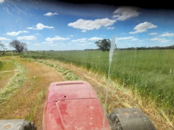 75mt Oaten Rye Hay 8x4x3 Bales