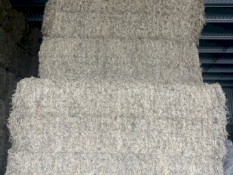 VETCH HAY