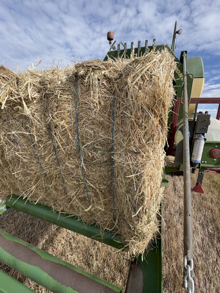 Cereal Mix Hay