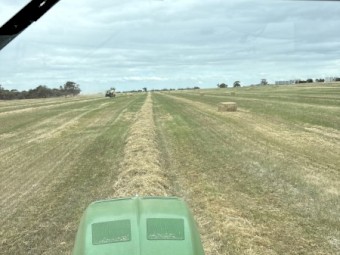 Cereal Mix Hay