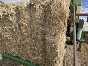 Cereal Mix Hay