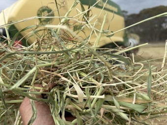 Pasture Mix Hay