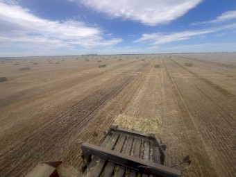 100mt Rye Grass Hay 530kg 8x4x3 Bales