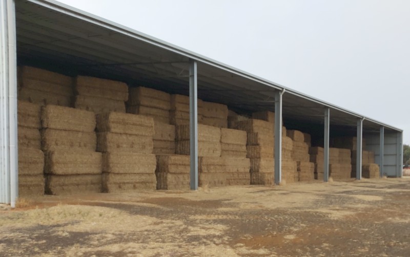 215mt Vetch Hay 640kg 8x4x3 Bales