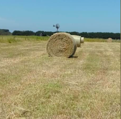 45 x Oat/Rye Hay 5x4 Rolls