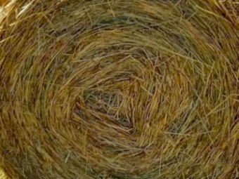 45 x Oat/Rye Hay 5x4 Rolls