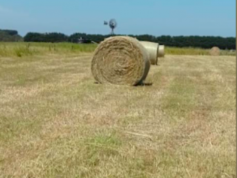 45 x Oat/Rye Hay 5x4 Rolls