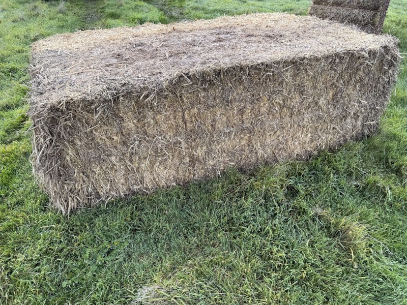 50mt Wheaten Hay 650kg 8x4x3 Top Bales