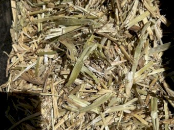 400 x Wheaten Hay 5x4 Round Bales