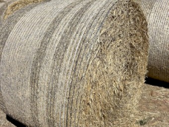 400 x Wheaten Hay 5x4 Round Bales