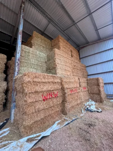 290mt Oaten Hay 595kg 8x4x3 Bales