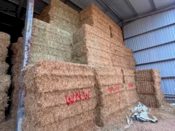 Oaten Hay