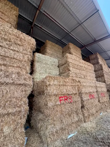 760mt Oaten Hay 635kg 8x4x3 Bales