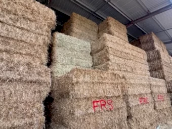 Oaten Hay