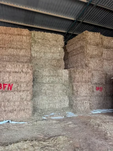 970mt Oaten Hay 605kg 8x4x3 Bales