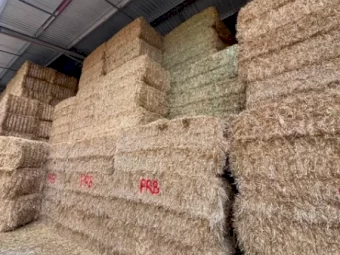 970mt Oaten Hay 605kg 8x4x3 Bales