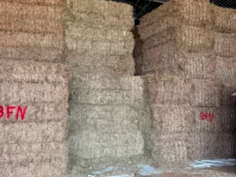 Oaten Hay