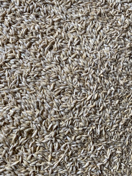 250mt BAR1 Feed Barley