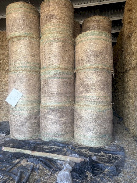 Clover and Rye hay in 4x4 rolls