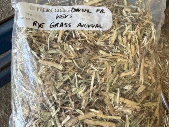 280mt Annual Rye Grass Hay 8x4x3 Bales