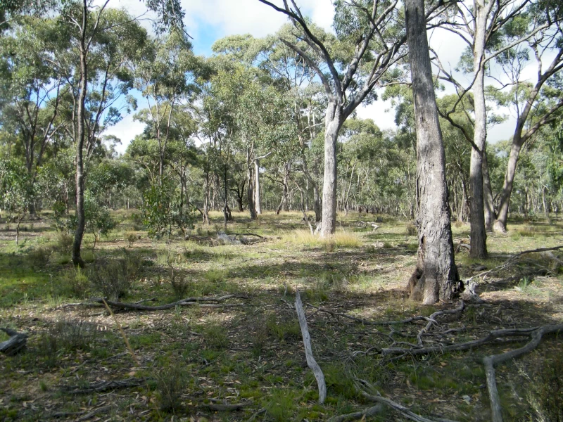 WANTED – Long-Term Bush Block Lease (Central Victoria)