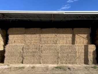 200mt Barley Hay 8x4x3 Bales
