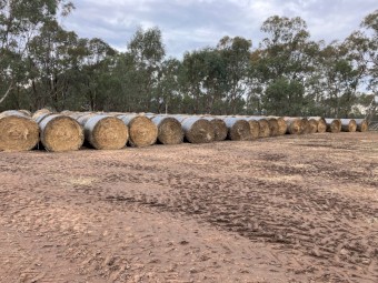 200 x Yarran Oat and Vetch Hay 433kg Round Bales