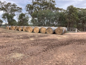 200 x Yarran Oat and Vetch Hay 433kg Round Bales