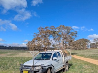 Isuzu Fencing Ute