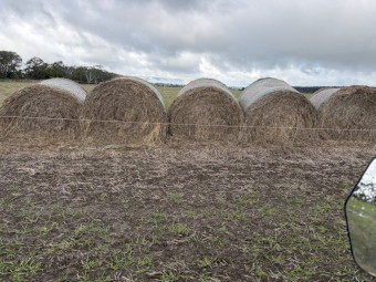 Pasture 