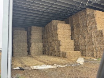250mt Oaten Hay 500-550kg 8x4x3 Bales