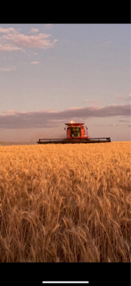 Contract harvesting/cartage work wanted
