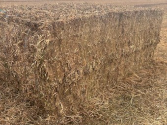 300mt Vetch Hay 8x4x3 Bales
