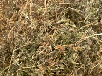 300mt Vetch Hay 8x4x3 Bales