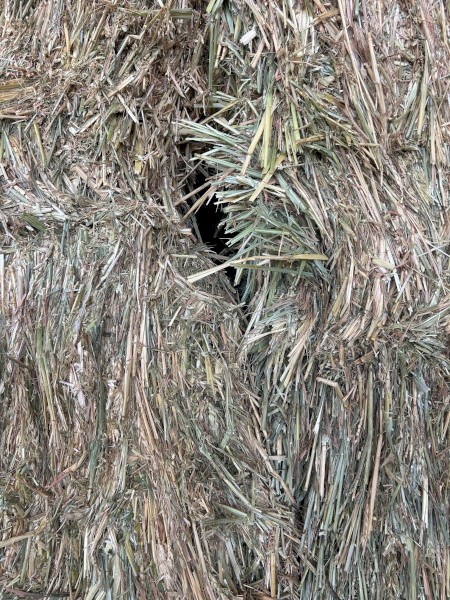 400+ Bales of Wheaten Hay (average weight 640kg bale) 2025 season