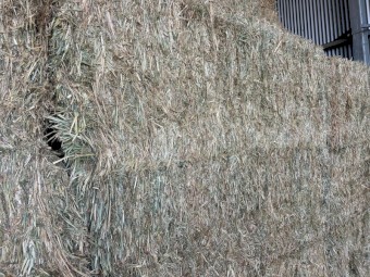 400+ Bales of Wheaten Hay (average weight 640kg bale) 2025 season