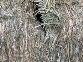 400+ Bales of Wheaten Hay (average weight 640kg bale) 2025 season