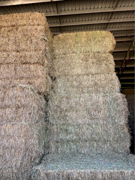 Vetch & Oat Hay