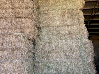 Vetch & Oat Hay