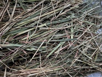 Vetch & Oat Hay